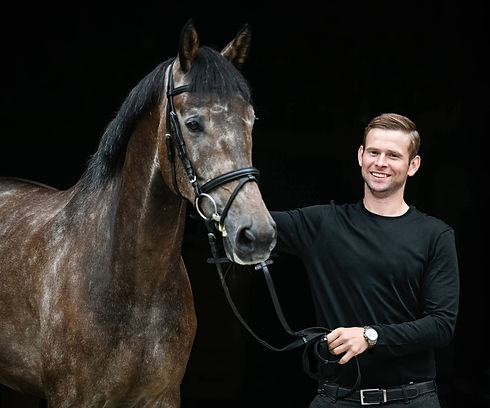 Andreas_Meier_Sportpferde.jpeg