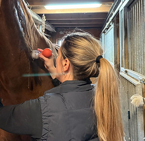 Schröpftherapie_Estermann Larissa_edited.jpg