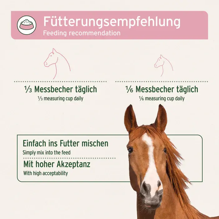 Miniaturbild: 4in1 Complete Horse I Rundumversorgung - rein pflanzlich | Pferd