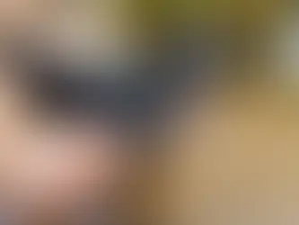 Cuidados necessários para os pets no verão