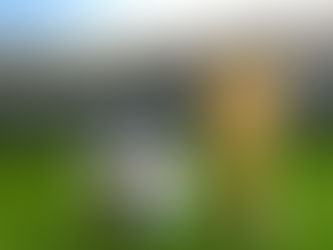Pode folga durante os jogos do Brasil na copa? Saiba quais os direitos do trabalhador