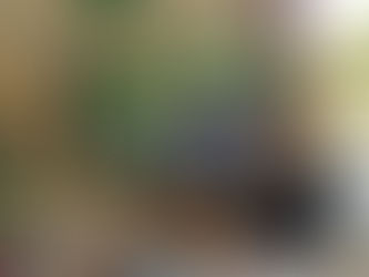 Curso de Gestão Territorial Indígena promove feira no Malocão do Insikiran