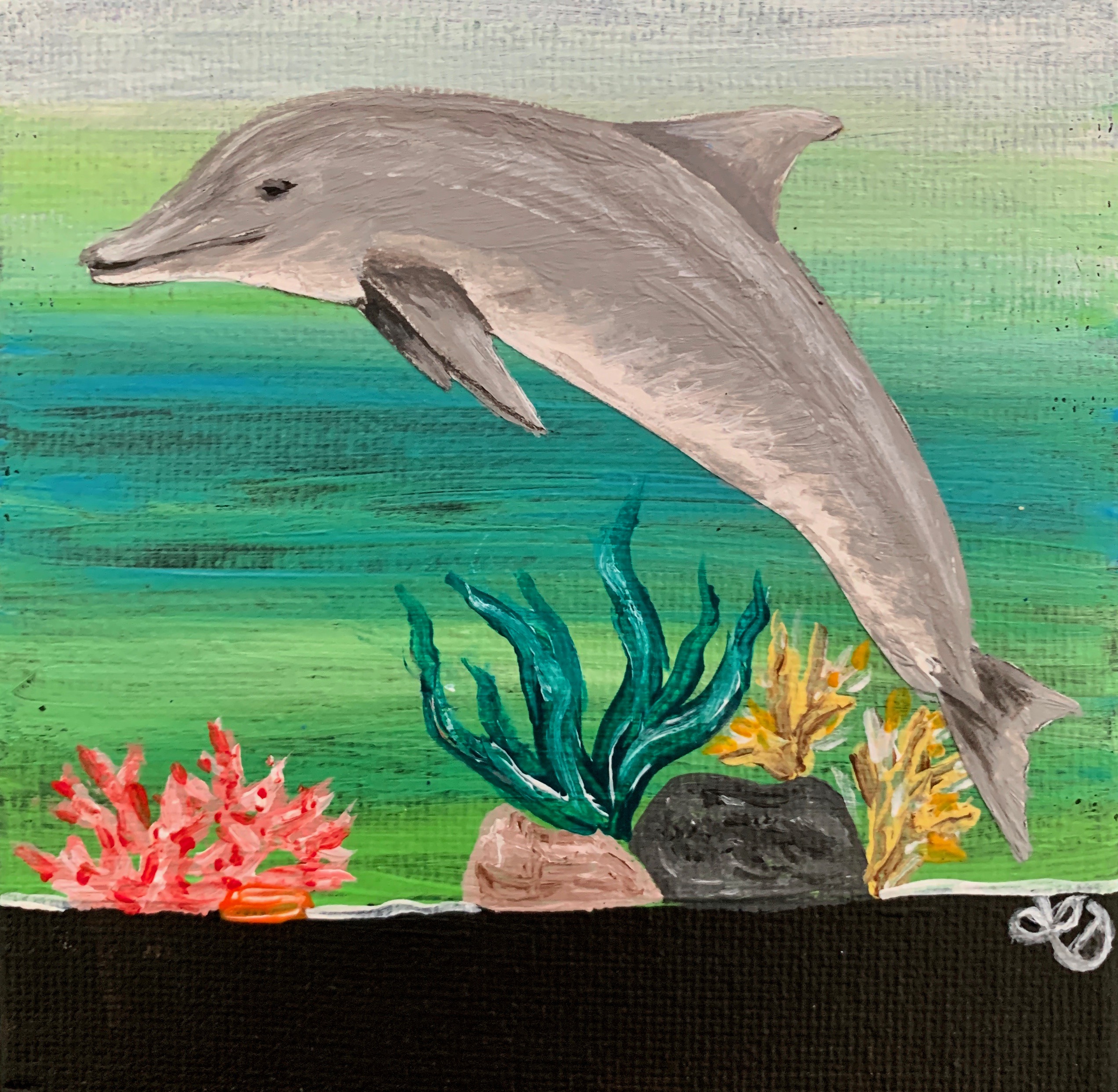 Dolphin