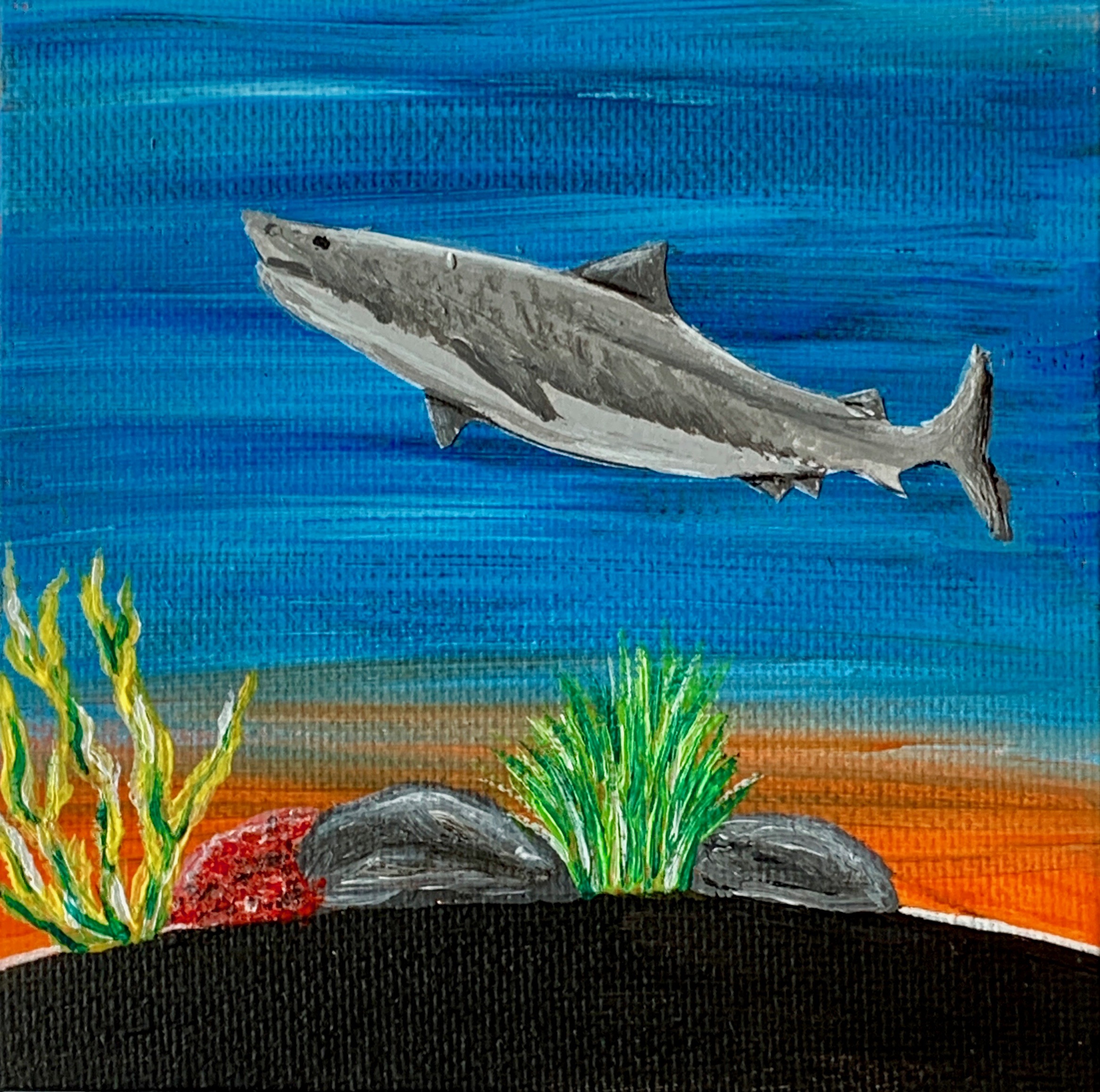 Tiger Shark
