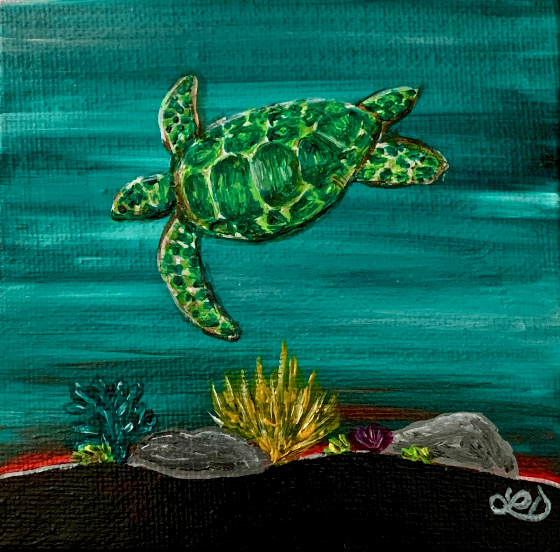 Sea Turtle