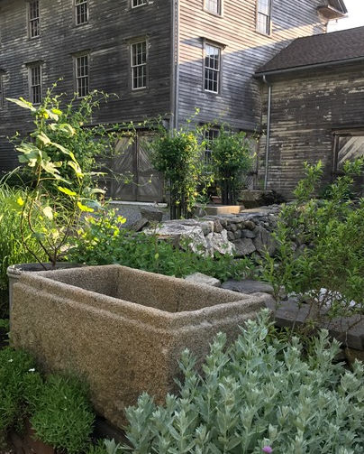 An antique granite trough among lush garden setting in front of pre 1900 barn.