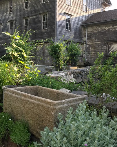 An antique granite trough among lush garden setting in front of pre 1900 barn.