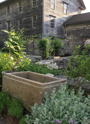 An antique granite trough among lush garden setting in front of pre 1900 barn.