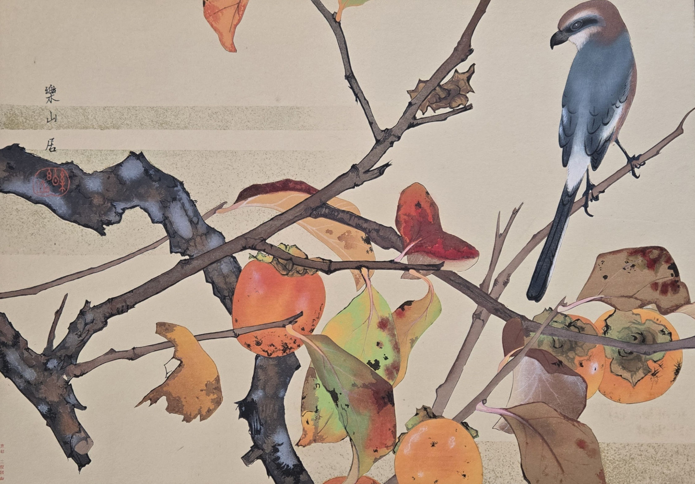 Tsuchiya Rakusan: Persimmons and Leaves and Shrike, woodblock print of leaves and fruit with blue and brown strike bird,