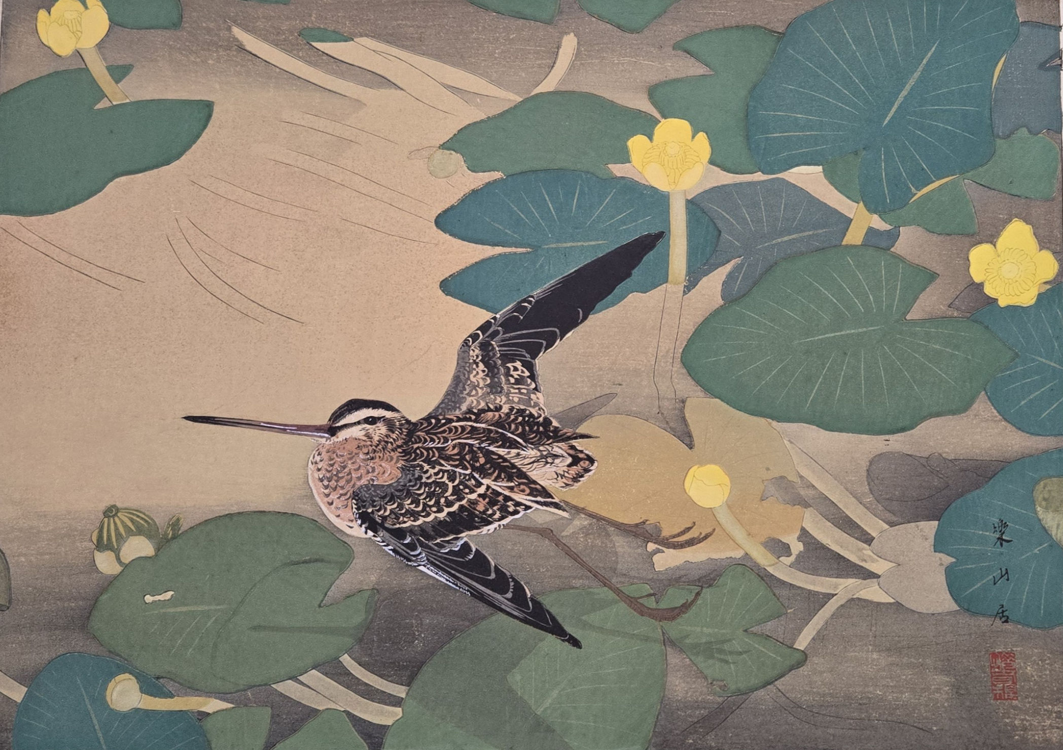 Tsuchiya Rakusan’s Wild Waterlilies and Snipe captures a snipe in mid‑flight above a pond of yellow waterlilies.