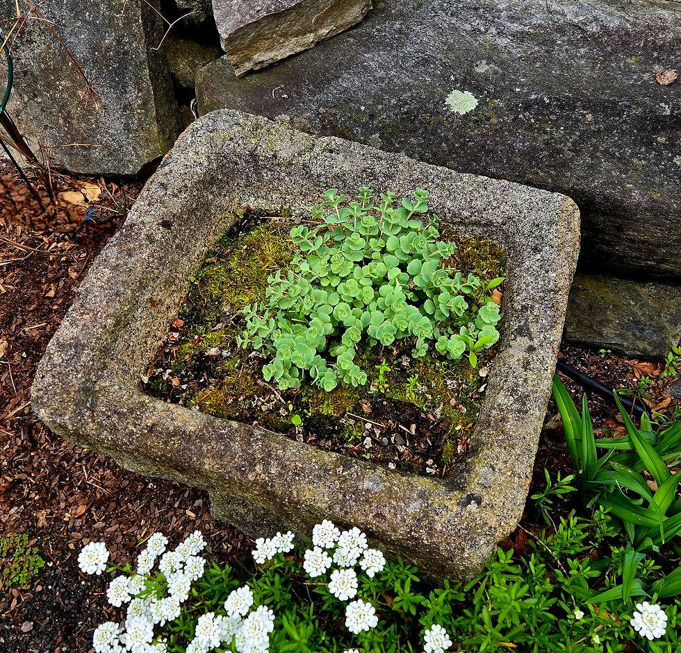 18th‑century French granite trough with rare diamond‑shaped form.