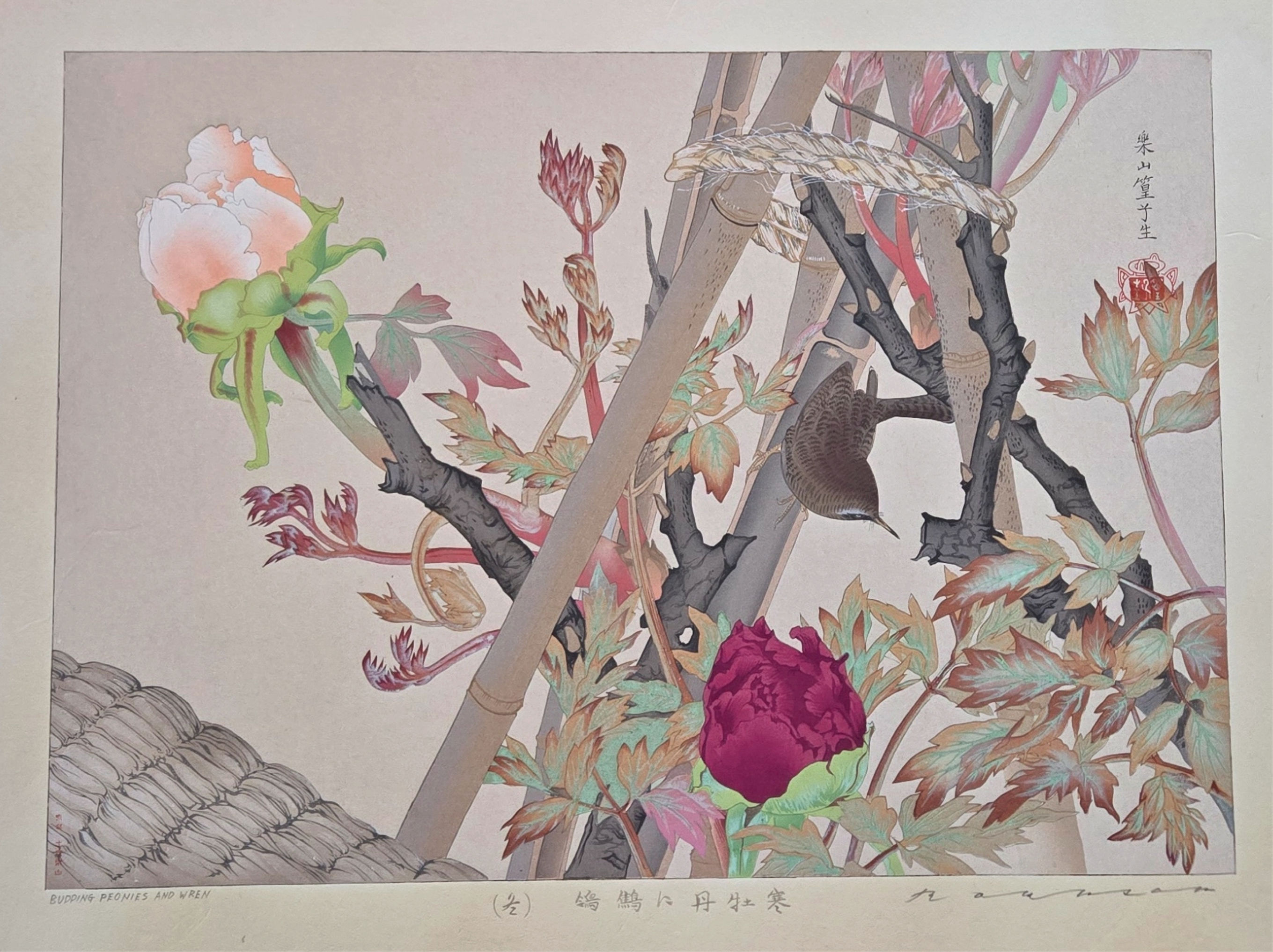 Japanese woodblock print by Tsuchiya Rakusan depicting a wren beside budding peonies, signed in pencil and stamped.