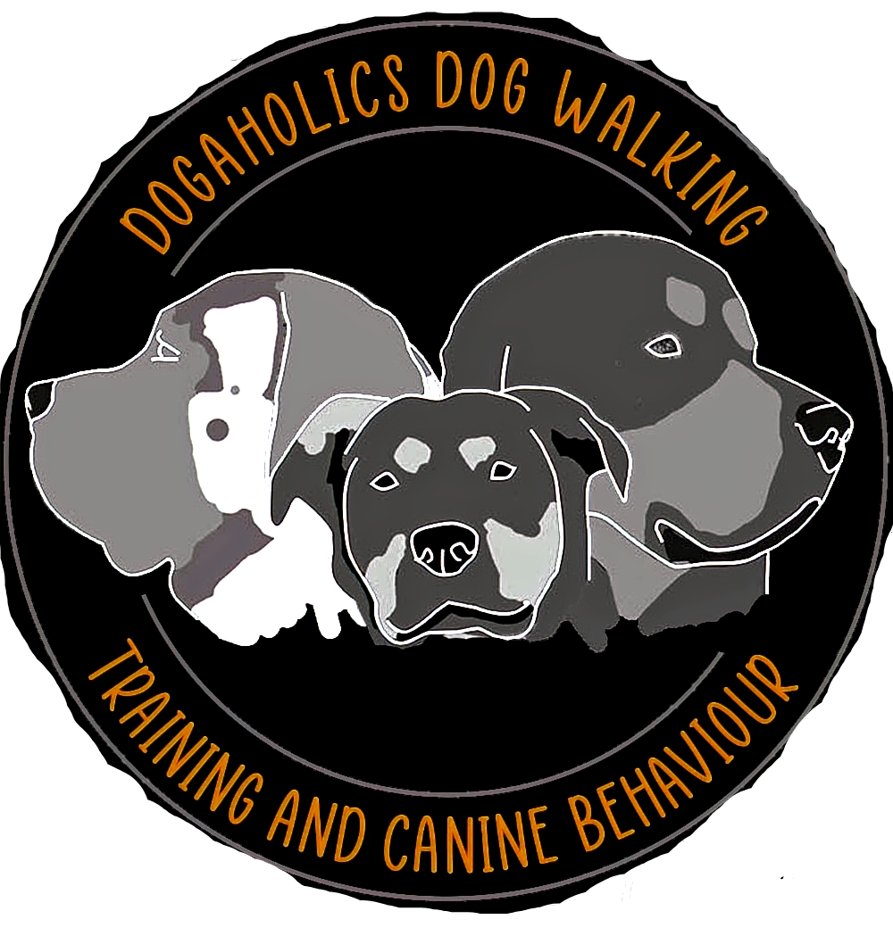 Dogaholics Dog Walking original logo