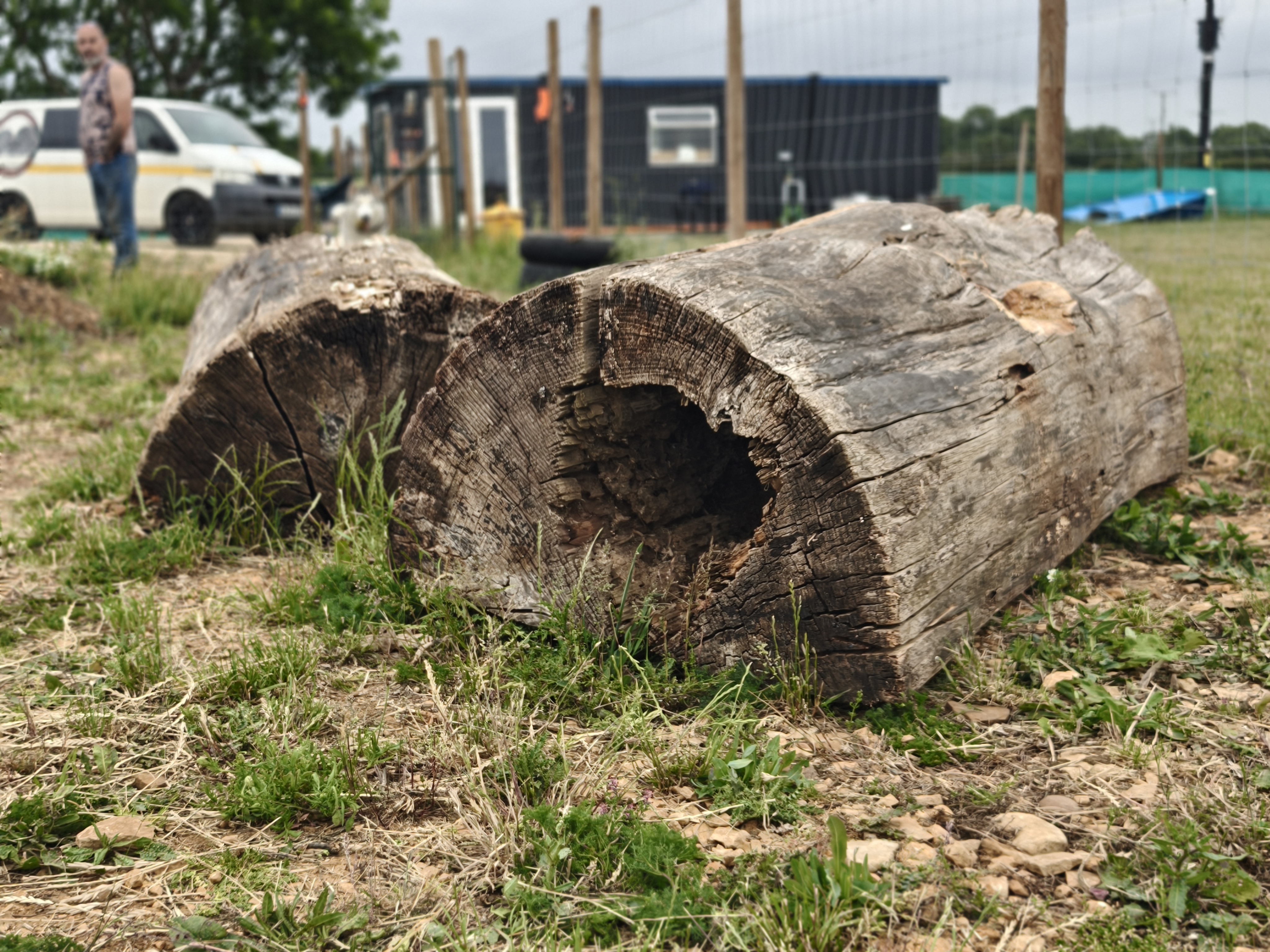 Scent log and platform in the Dogaholics enrichment area