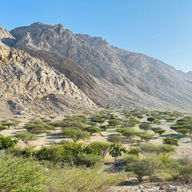 widok z fortu Dhayah na góry Hajar, Ras Al Khaimah, ZEA, Adventurous Camel