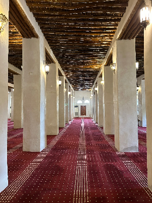 Meczet Mohammeda bin Salima, Ras Al Khaimah, ZEA, Adventurous Camel
