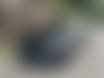 BMW Z4 sDrive23i Silver・Top Limited Edition 15 units only 52,731km