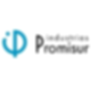 Promisur