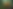 Subtle-vibrant-psychedelic-mushrooms-growing-in-forest-floor-natural-daylight-cool-tones-showcasing-growth.png