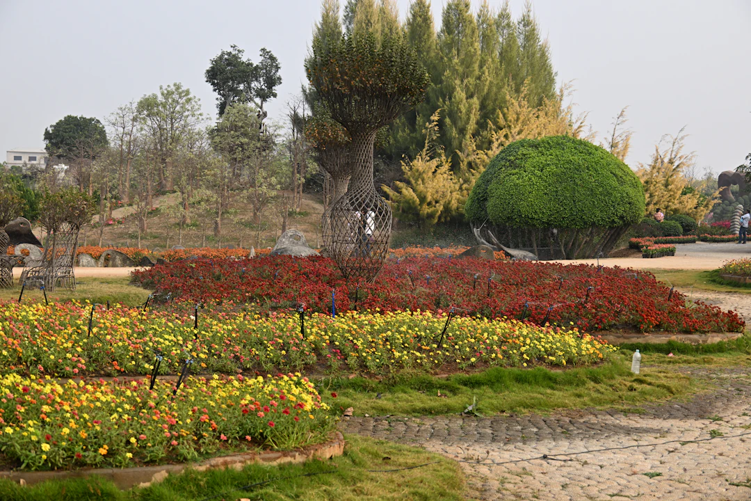 Understanding the Basics of Landscape Construction: Transforming Your Outdoor Space