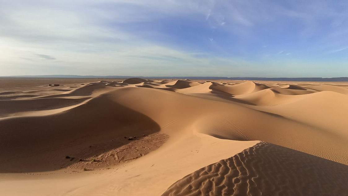 WhatsApp Image 2025-03-03 at 19.15.57 (1).jpeg