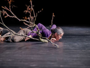 Striding Crawling - Berlin - sept. 2017 -
 photos / vidéo