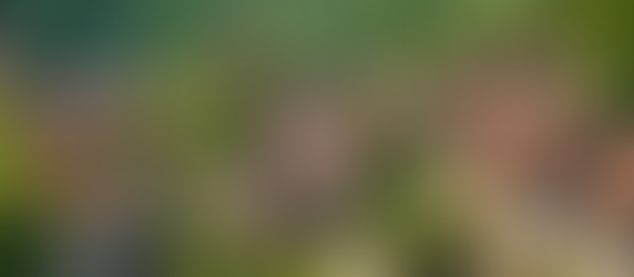 Choosing the Perfect European Retirement Destination