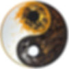 A modern, abstract Yin–Yang symbol, representing the balance between seemingly contradictory values in leadership.