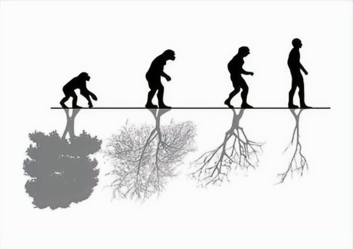Human Nature
