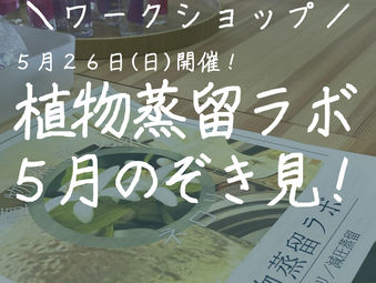 ワークショップ「5月植物蒸留ラボ」をのぞき見!
