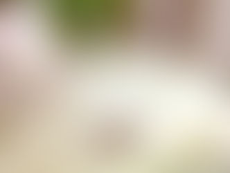 「第8回無印良品つながる市」出店します