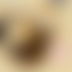 募集中!季節の手しごとワークショップ・2月9日(日)「味噌づくり」