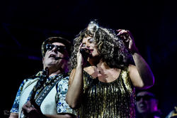 Totally TINA Phoenix Festival