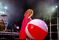 Totally TINA Phoenix Festival