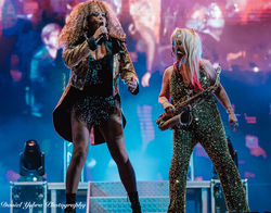 Totally TINA in Spain