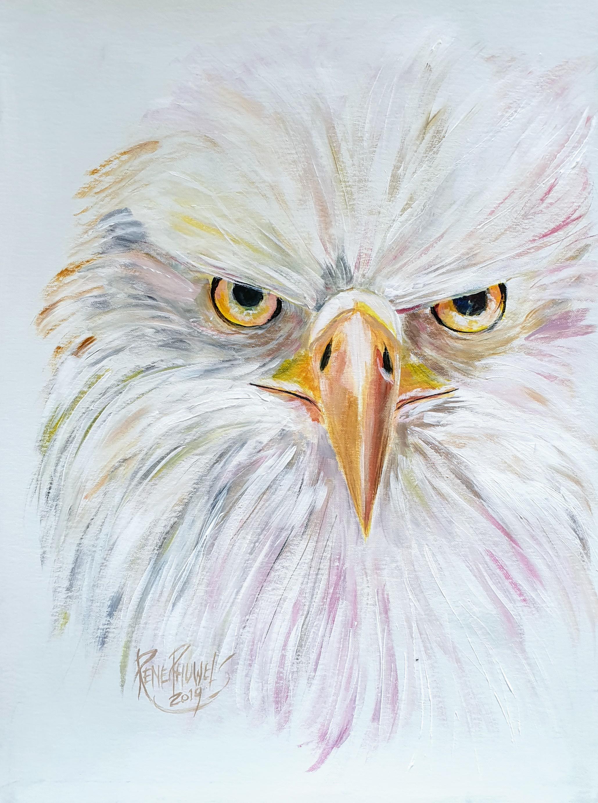 Eagle eye