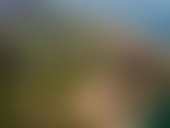 Parafest 2018 Festival of Ultralight and Free Flight - Snowdonia National Park