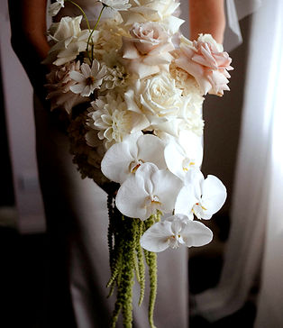 Elegant white orchids paired with delicate baby’s breath in a soft floral arrangement