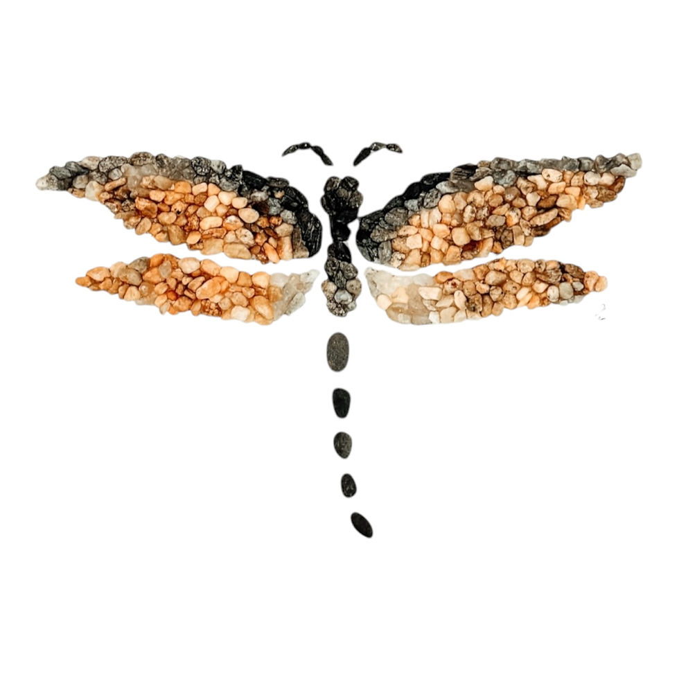 Dragonfly Artwork - Coastal Maine Wall Art, Dragonfly Art