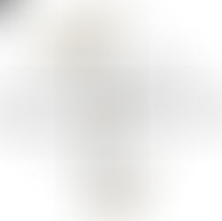 Flexibility is an important trait in politics