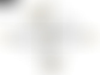 Flexibility is an important trait in politics