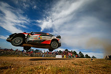 WRC_2019_Rd8_260 (1).jpg