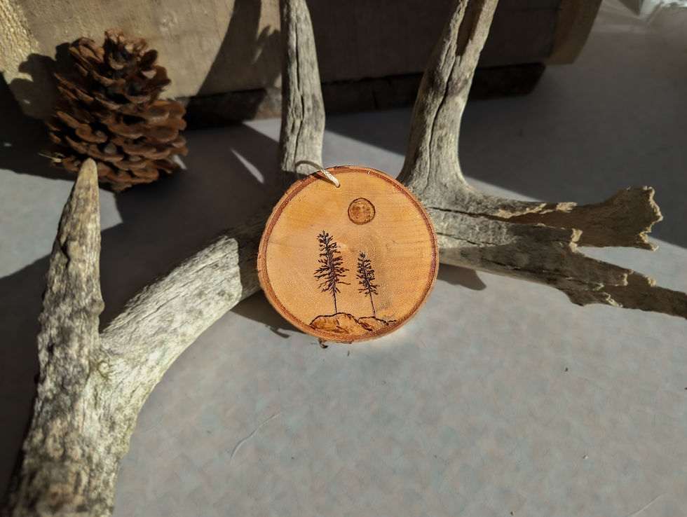 Thumbnail: Wood Burned Ornaments