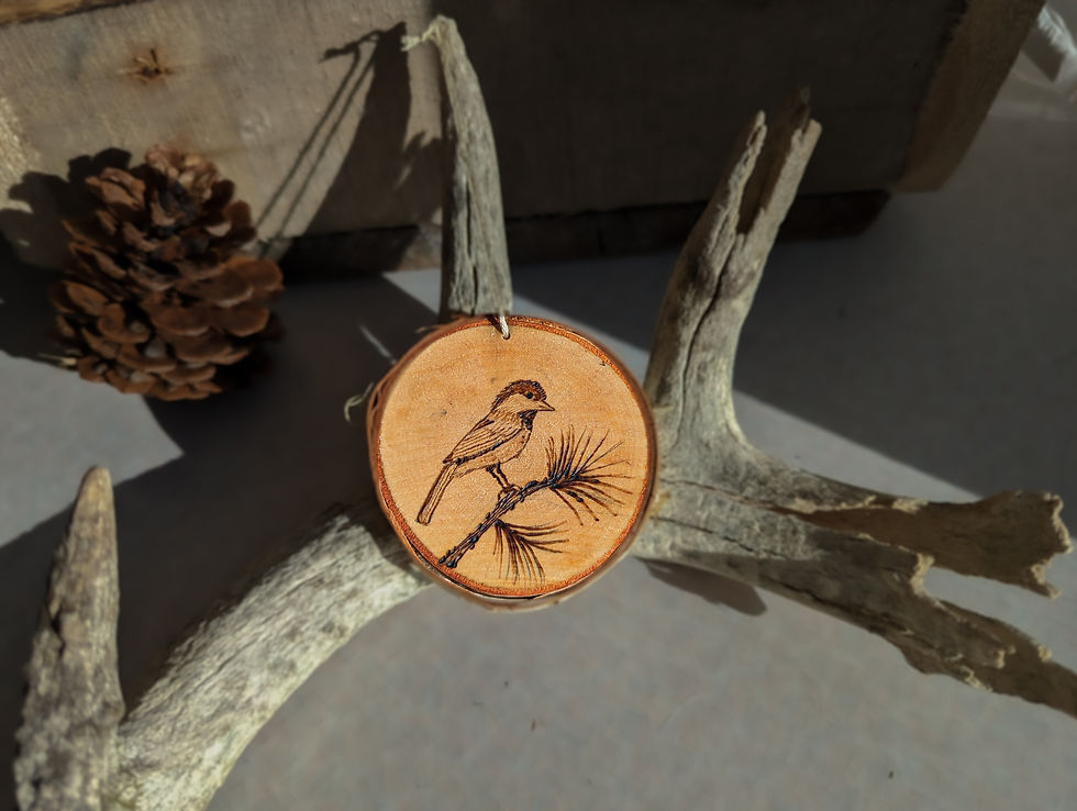 Thumbnail: Wood Burned Ornaments