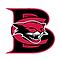 baytowncougars.jpg