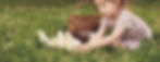 novotel-animals-fotolia_142008468_subscription_monthly_m-559a_1400x540.jpg
