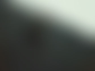 The Fear of Backsliding