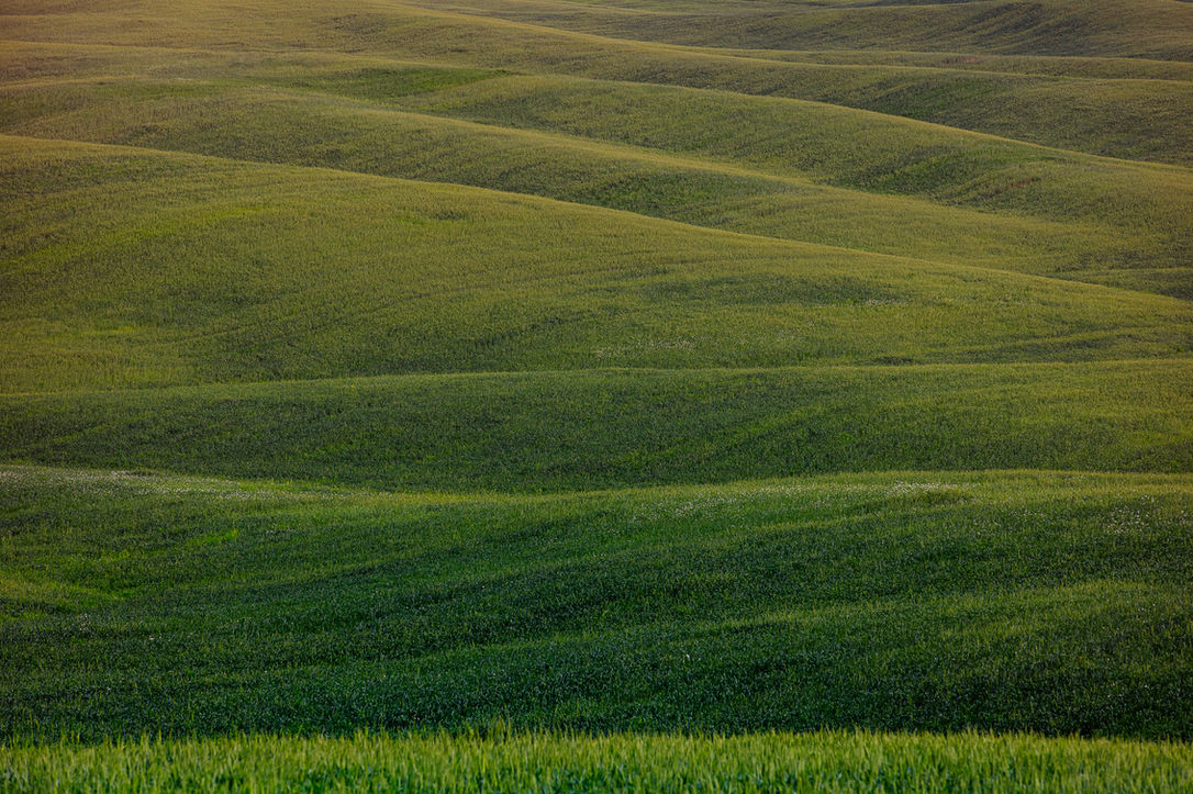 קורס צילום נוף, בתרונות רוחמה, כפיר ולר, צלם ומדריך צילום