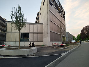Behmen_IMG_20250429_204122_2.jpg