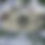 Thumbnail: geordie dog lead and key holder howay man